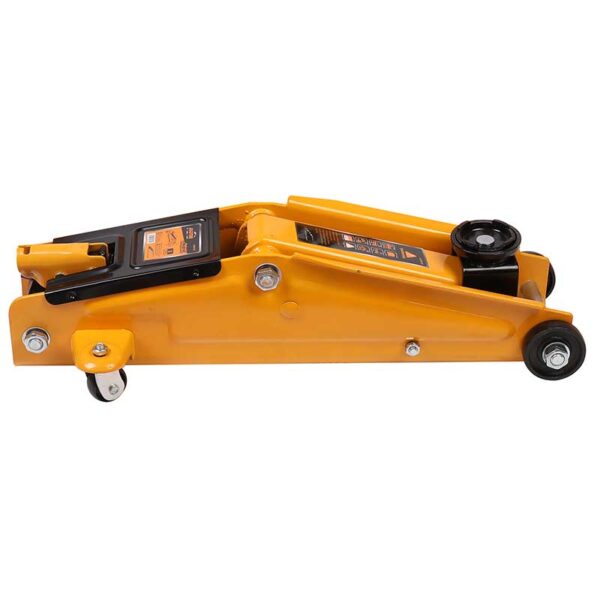 جک سوسماری 3 تن